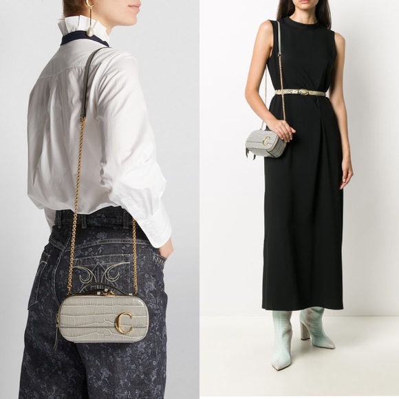 ☀️NWT☀️Chloé Mini C Vanity Bag Croc Embossed Gray - Picture 16 of 16